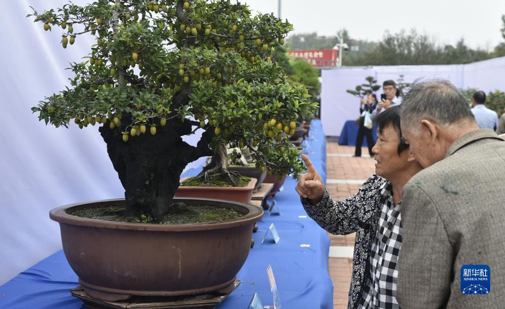 澳洲赌城网站